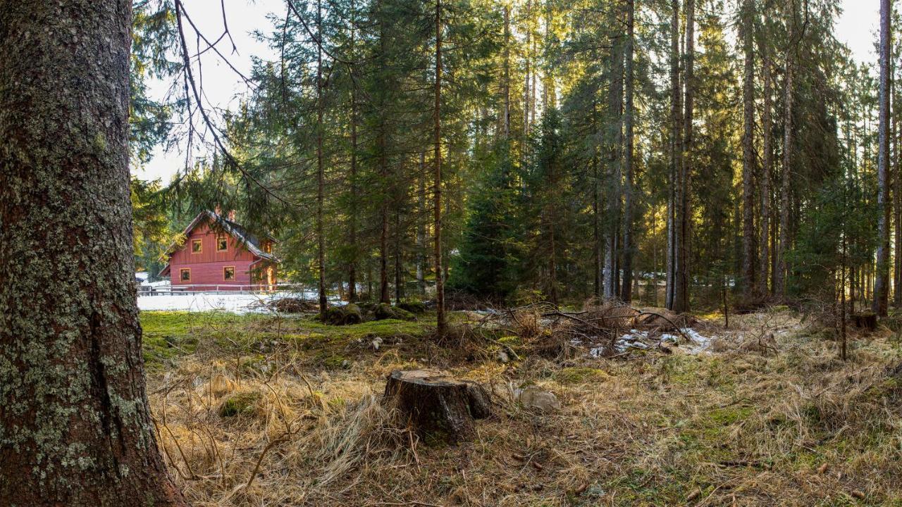 Digital Detox Chalet Pokljuka Goreljek Esterno foto