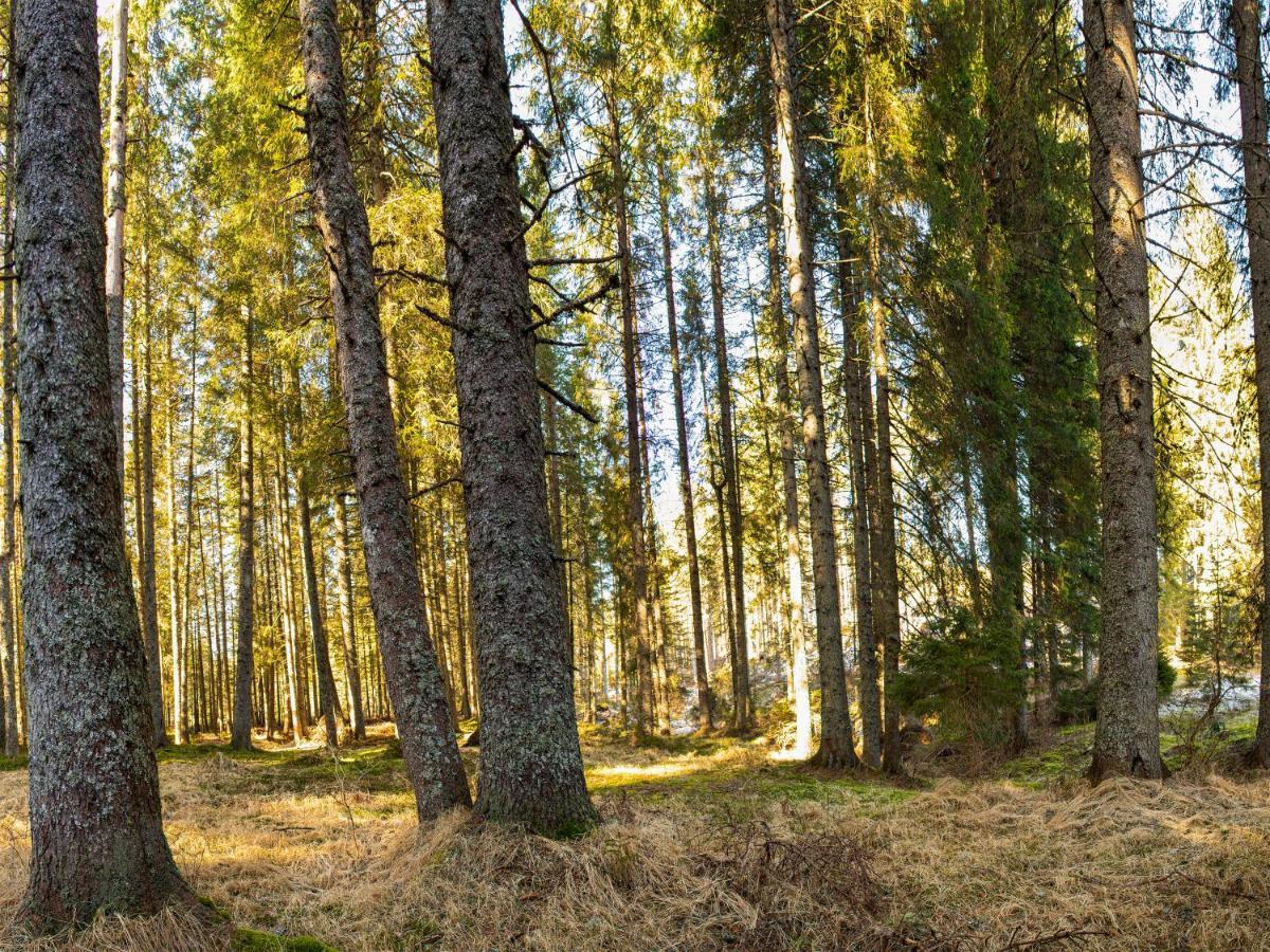 Digital Detox Chalet Pokljuka Goreljek Esterno foto
