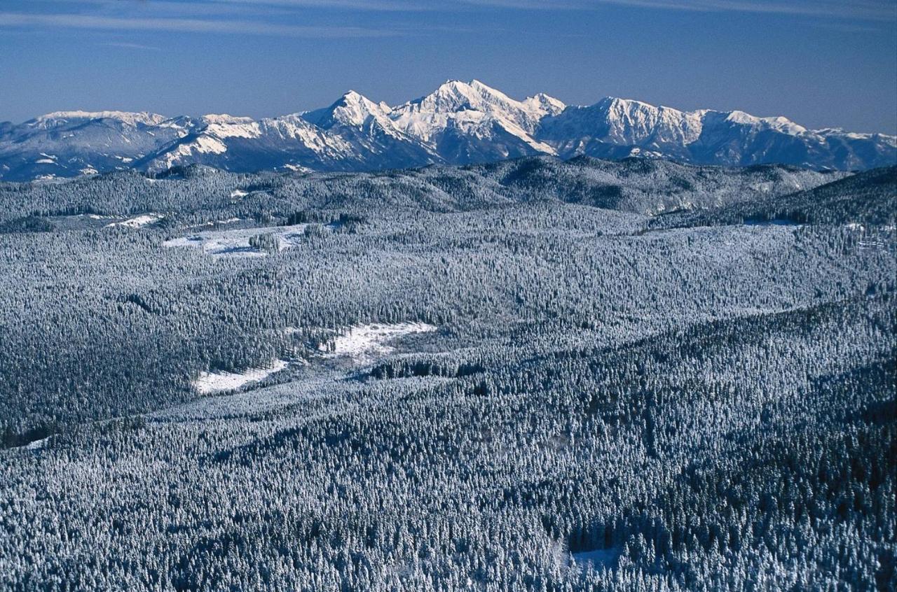 Digital Detox Chalet Pokljuka Goreljek Esterno foto